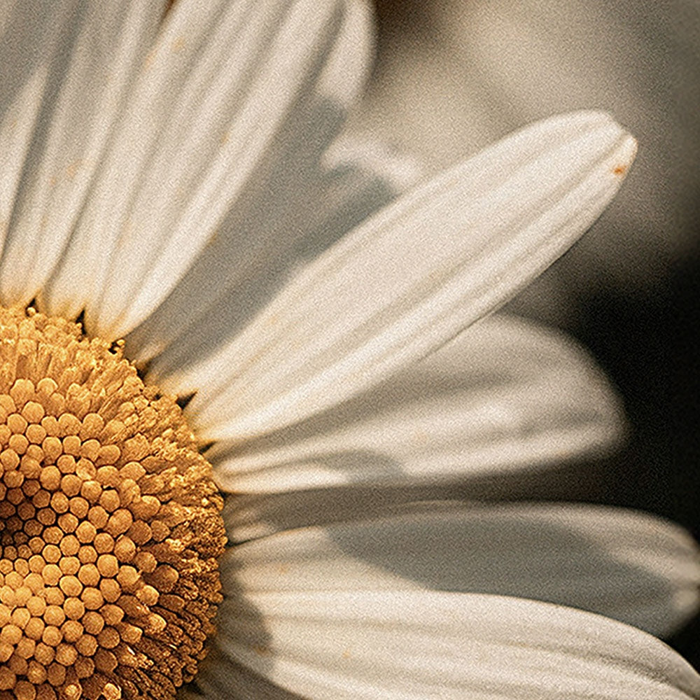 Mezella Golden Calm Body Balm.